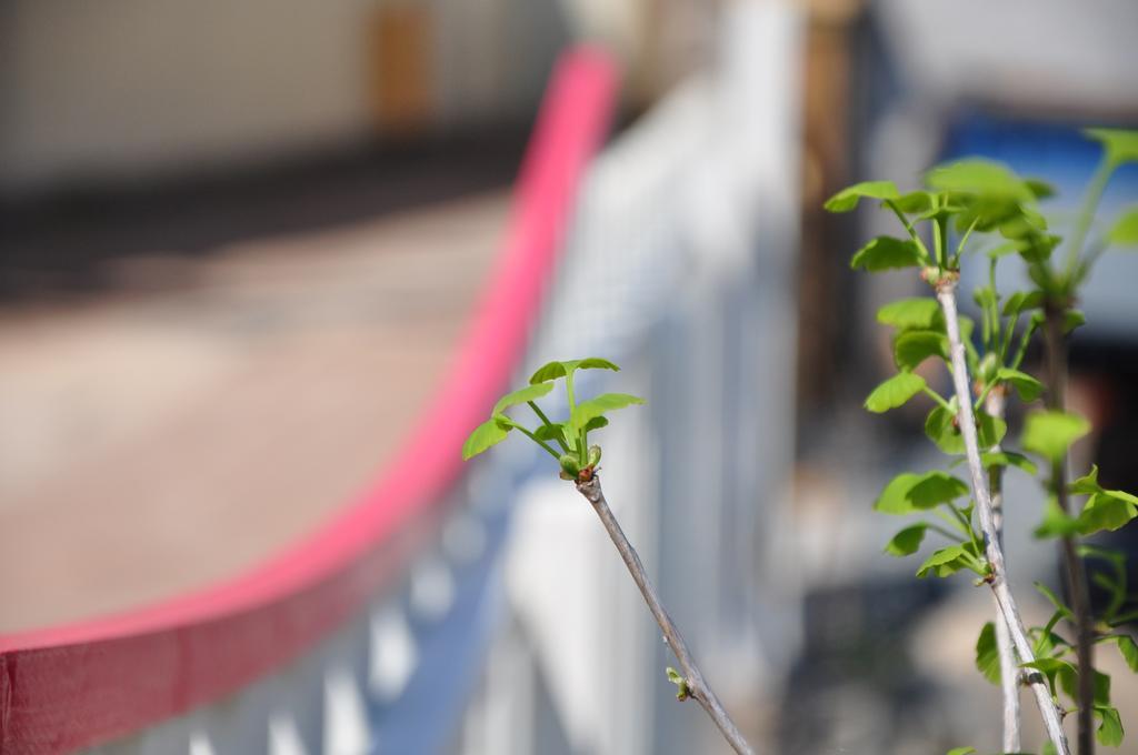 Soi Hanok Stay คยองจู ภายนอก รูปภาพ
