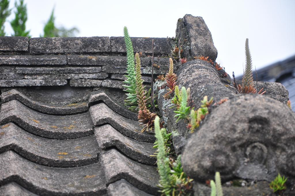 Soi Hanok Stay คยองจู ภายนอก รูปภาพ